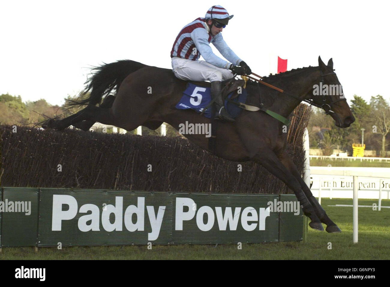 Jim Culloty takes Best Mate to victory over the last jump at the Ericsson Steeplechase at Leopardstown. Stock Photo