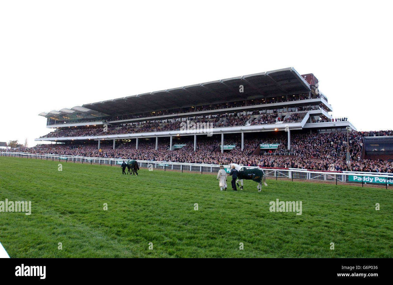 Cheltenham races. Packed stand at Cheltenham Racecourse Stock Photo Alamy