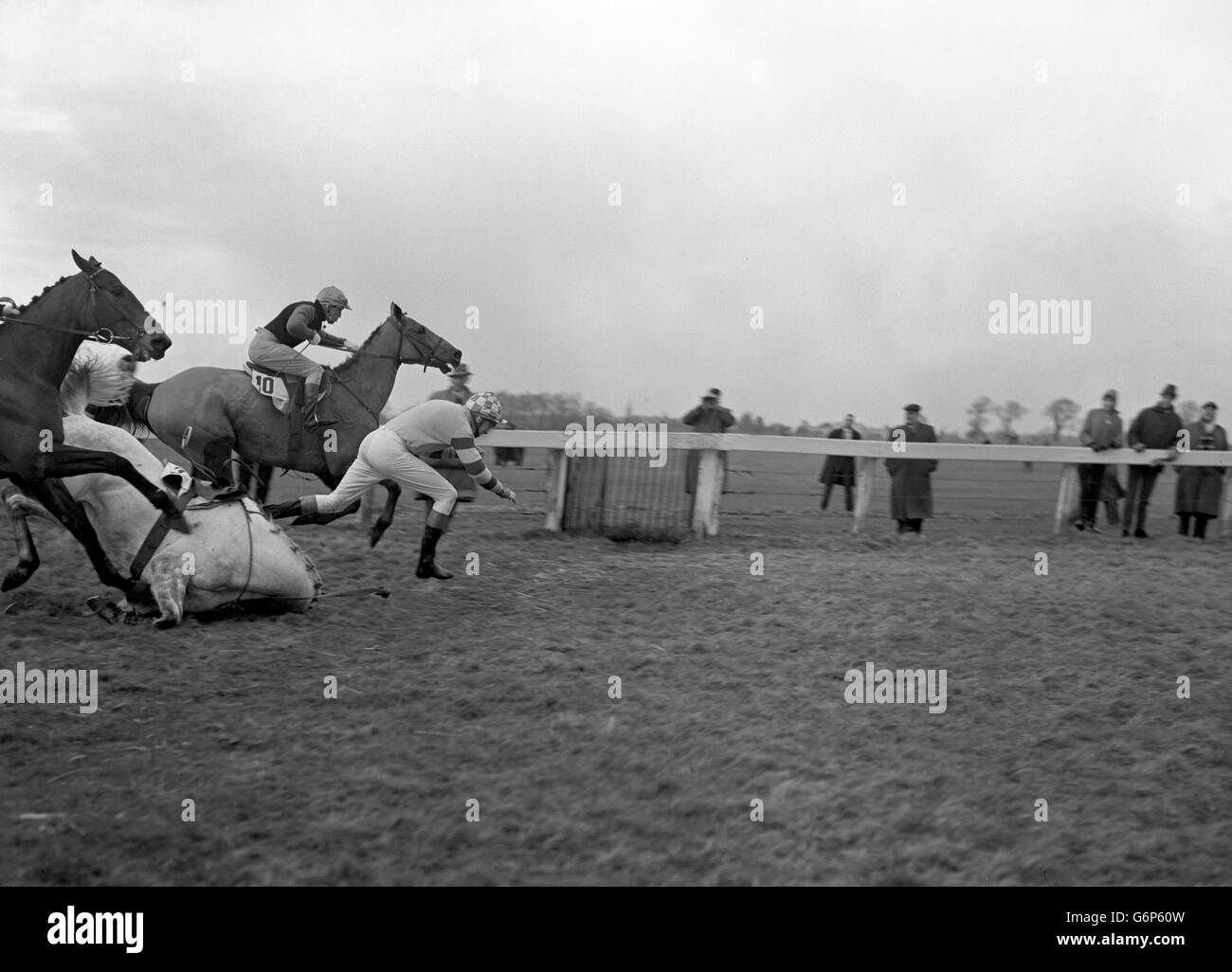 Steeplechase Fall Stock Photos & Steeplechase Fall Stock Images Alamy