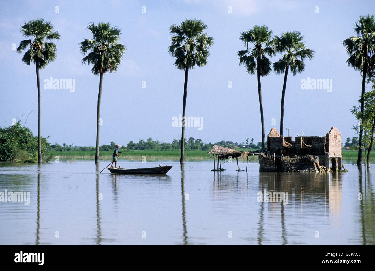 India Bihar , submergence at Bagmati river a branch of ganges due to heavy monsoon rains and melting Himalaya glaciers, transport by boat, reflection of palm tree in the water surface Stock Photo