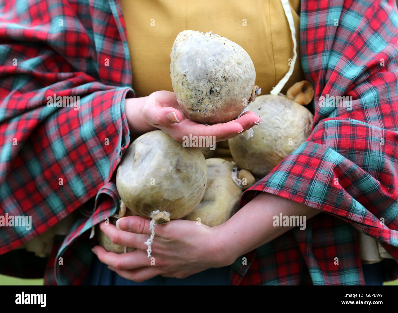 Haggis hurling hires stock photography and images Alamy