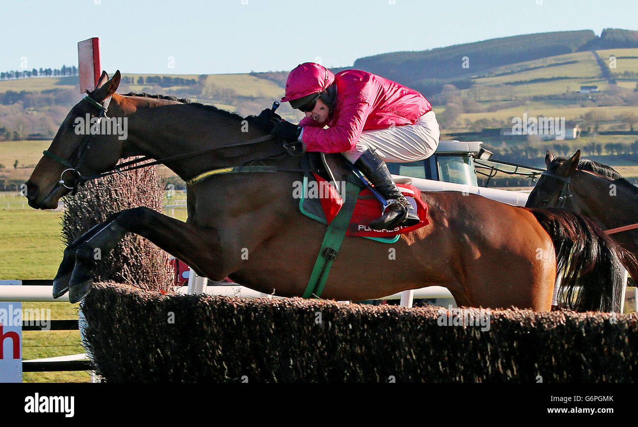 Horse Racing Punchestown Racecourse Stock Photo Alamy