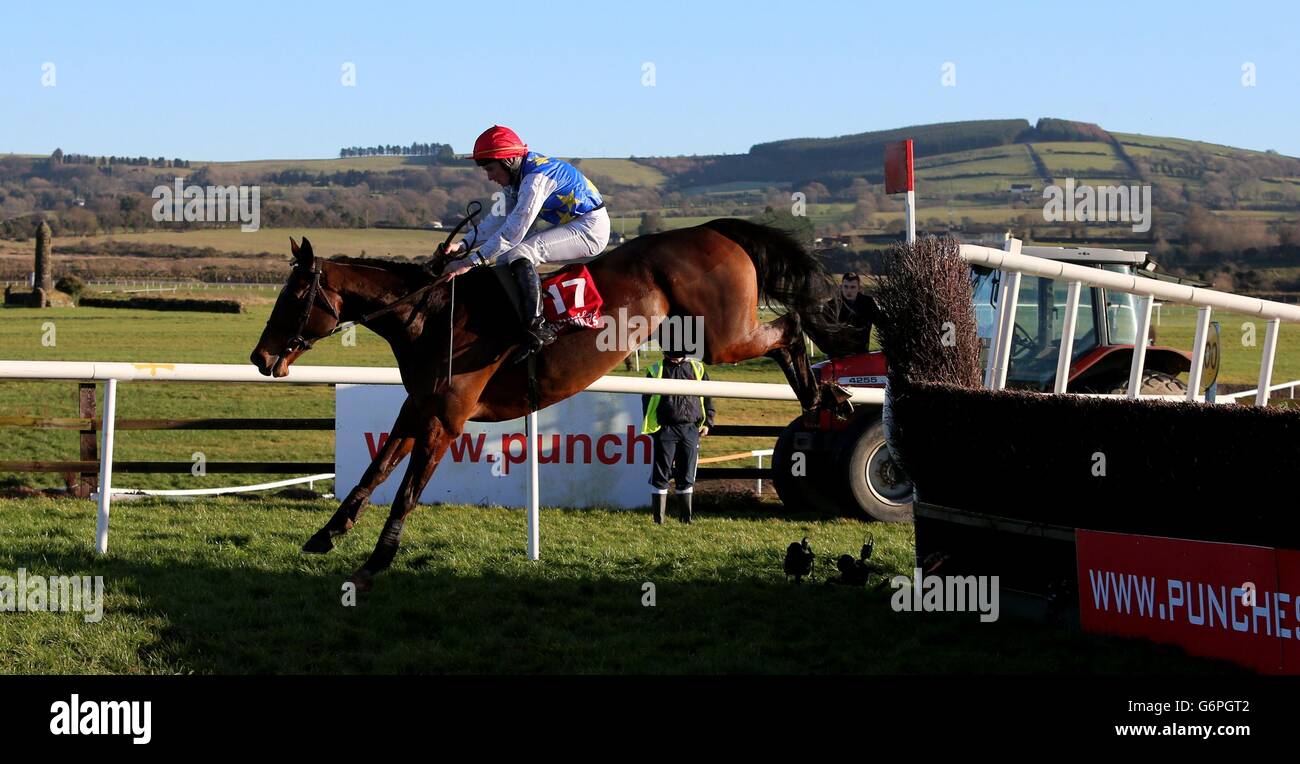 Punchestown Racecourse Stock Photos & Punchestown Racecourse Stock