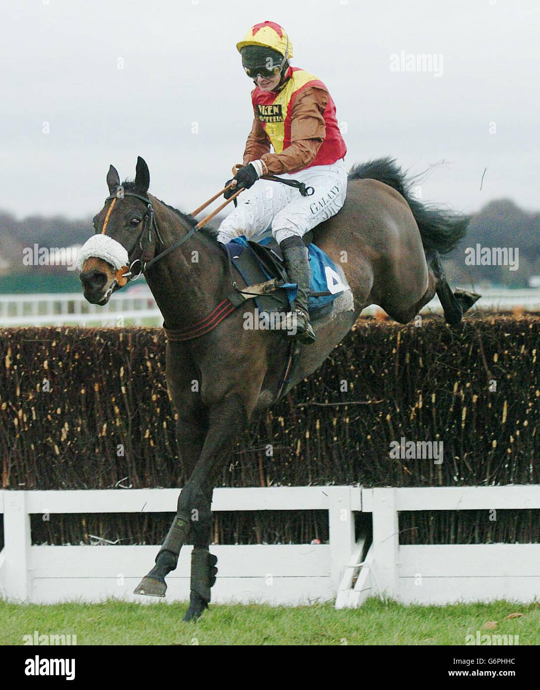 Metal Detector and JP McNamara win the Driffield Championship Dog Show