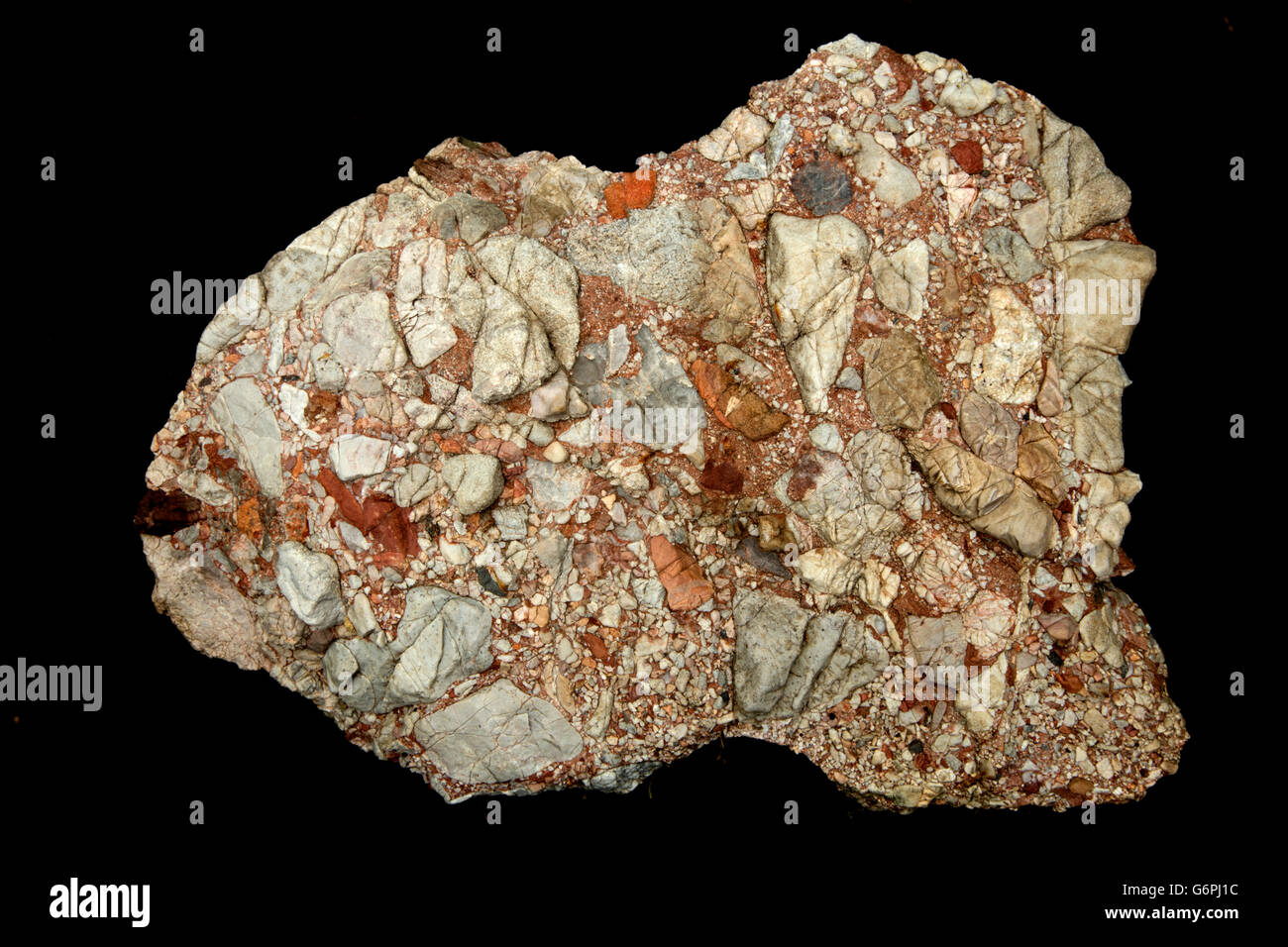 Leesburg Limestone Conglomerate  - Frederick county Maryland, Formed in a Triassic half grabben created when the Africa plate sp Stock Photo