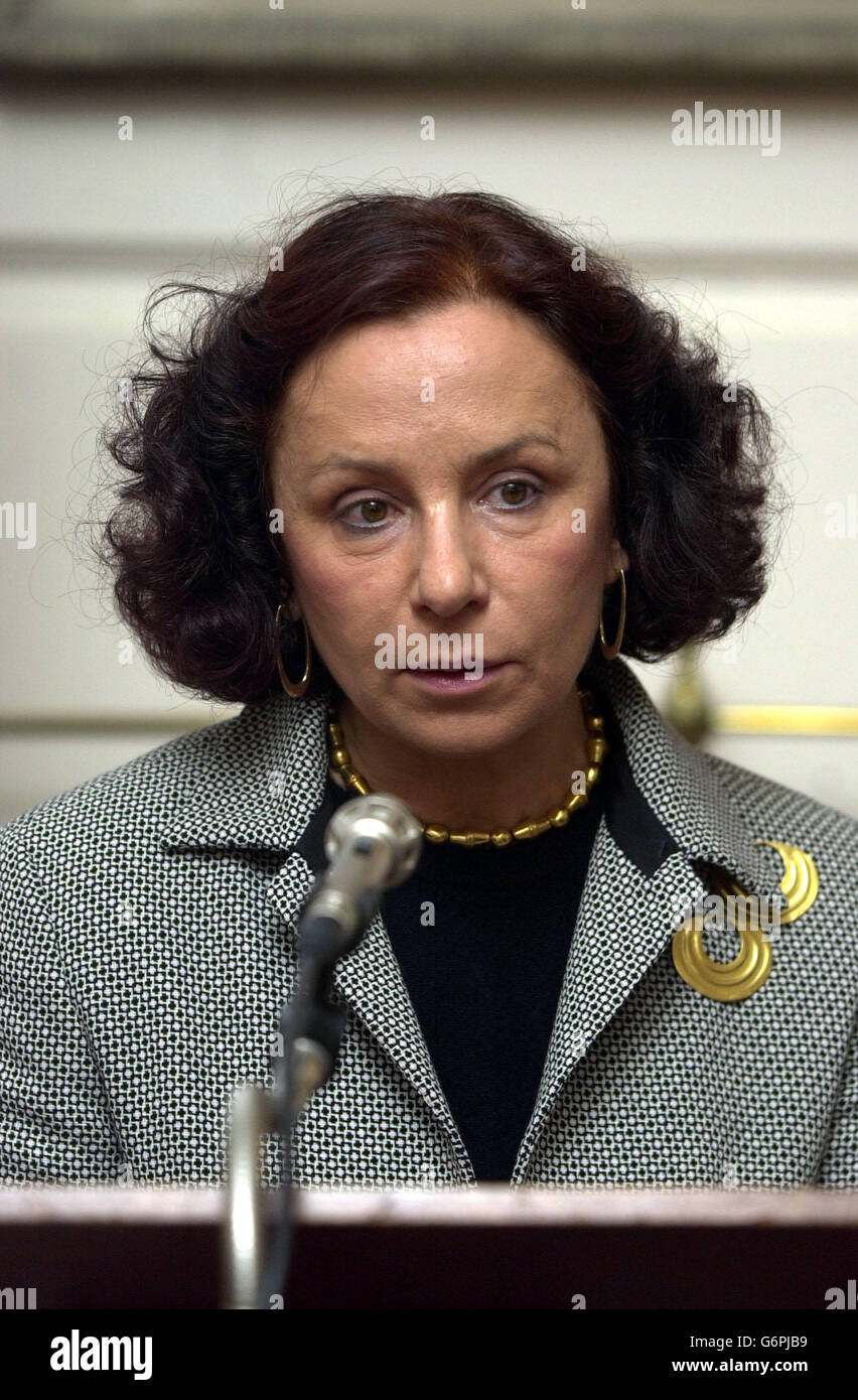 Ana Palacio EU Presidency issues Stock Photo Alamy