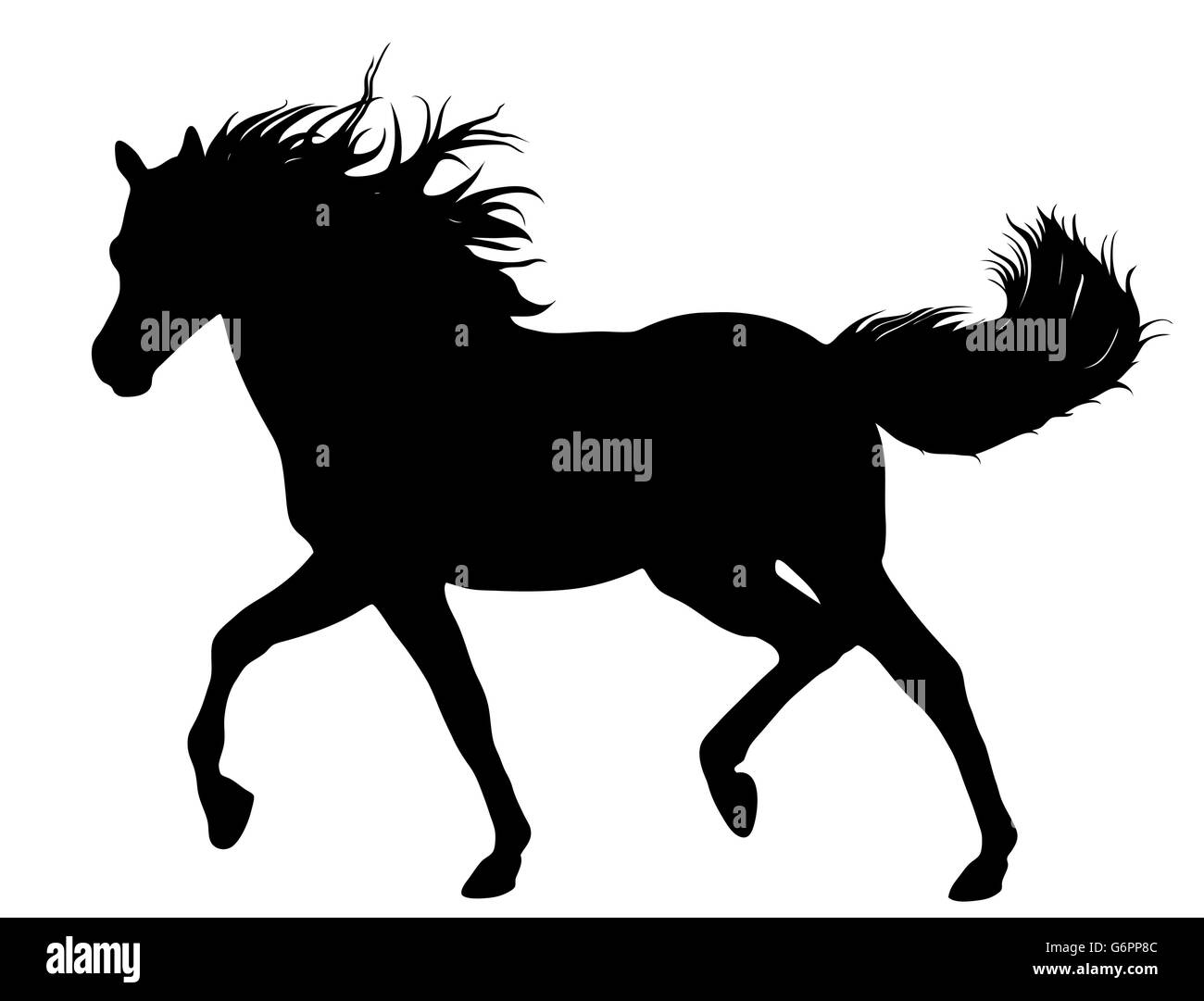 Black horse silhouette isolated on white Stock Vector Image & Art - Alamy