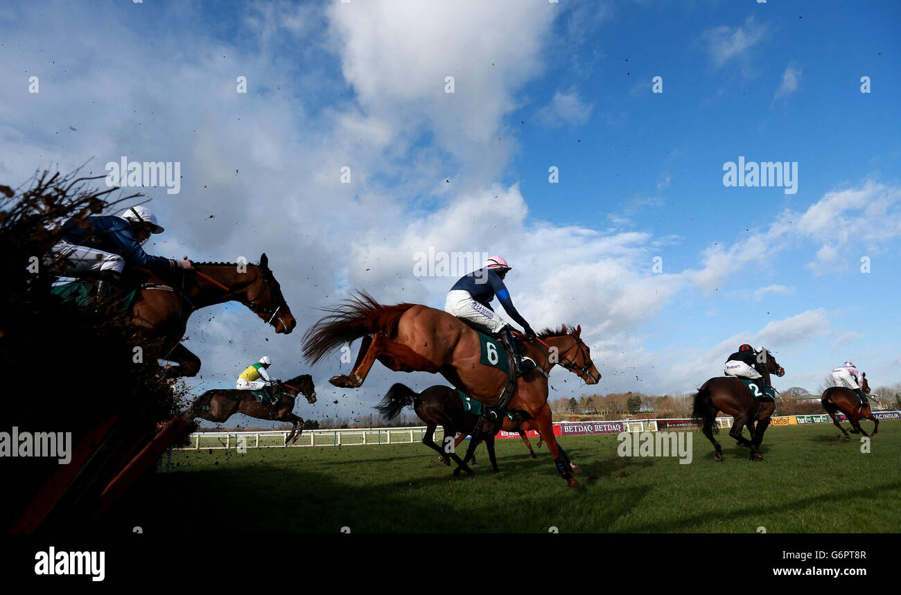 Strong Conviction ridden by Nick Scholfield in the racinguk.com Juvenile Hurdle at Warwick Racecourse. Stock Photo
