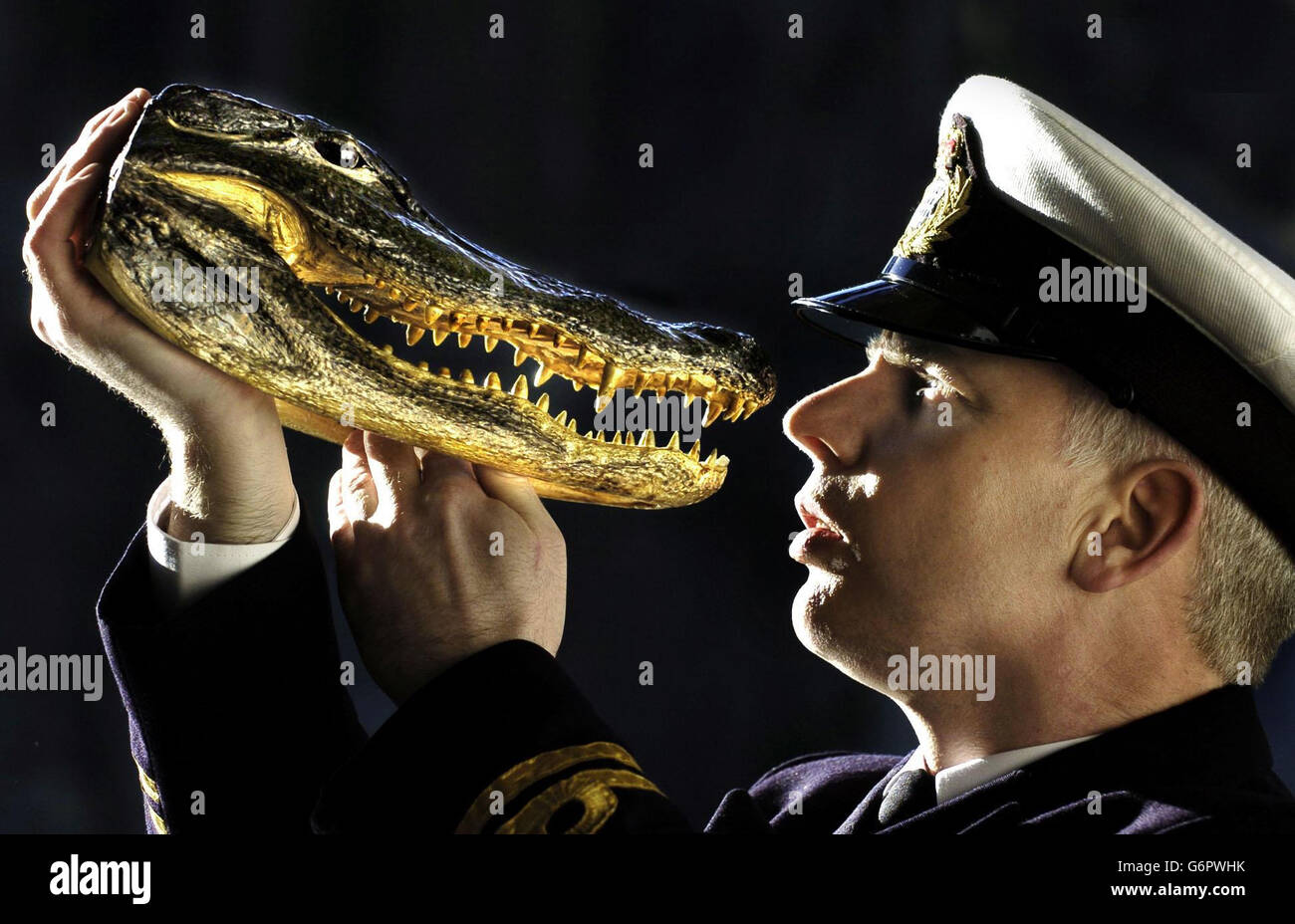 Customs officer Patrick McGroarty takes a close look at the head of a crocodile, paper weight, on display at Deep Sea World near Edinburgh, as part of an exhibition of wildlife threatened by international trade. Stock Photo