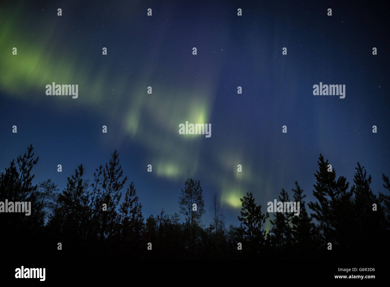 Northern lights in Canada Stock Photo