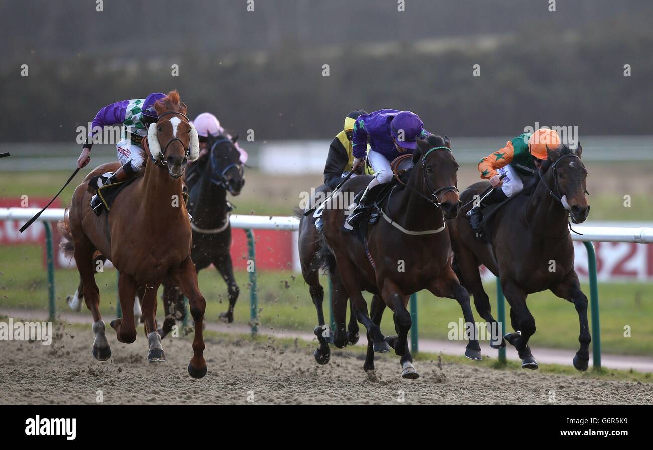 Horse racing fast track qualifier raceday lingfield racecourse hires stock photography and