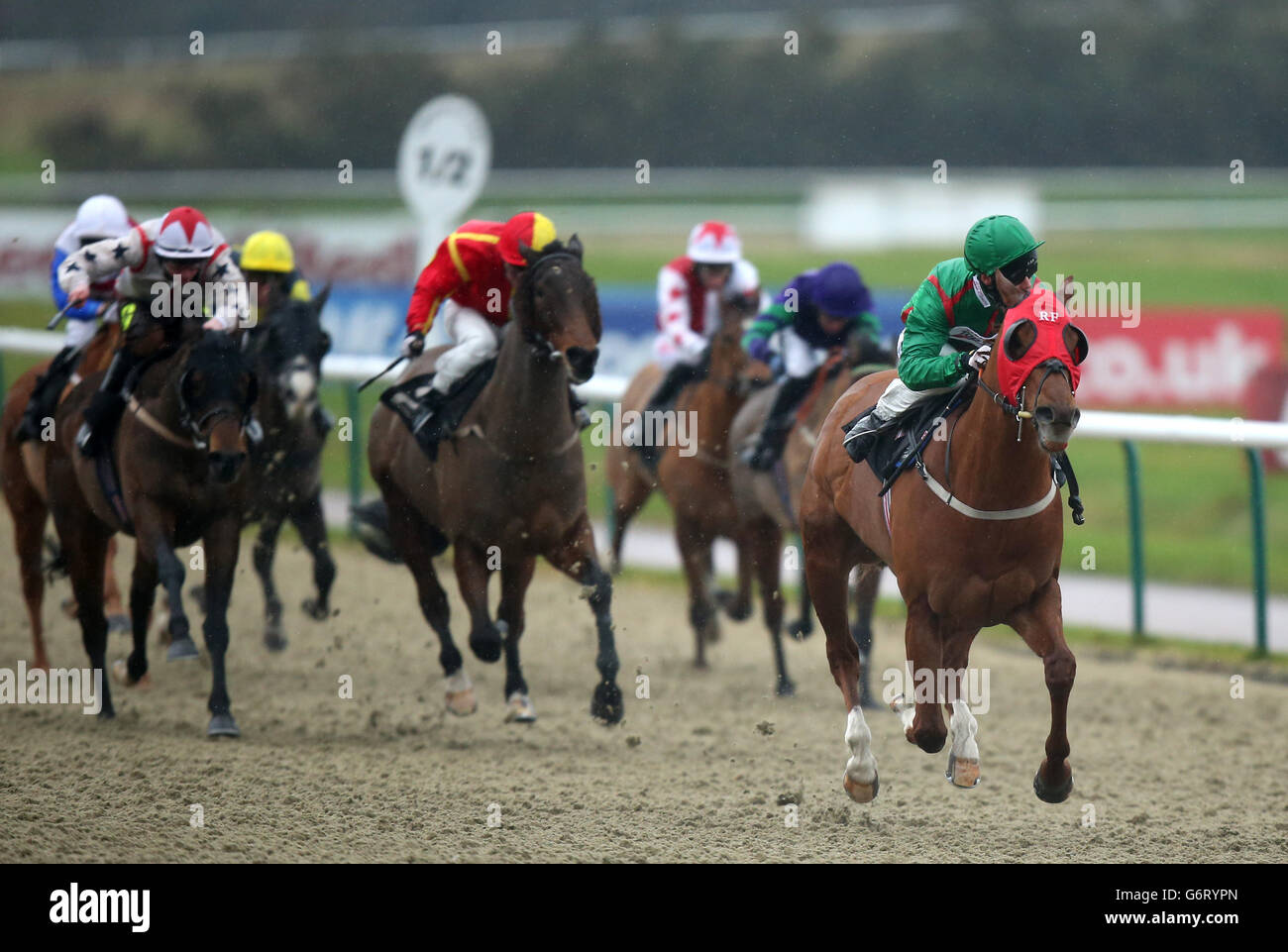 Horse Racing - Lingfield Park Stock Photo - Alamy