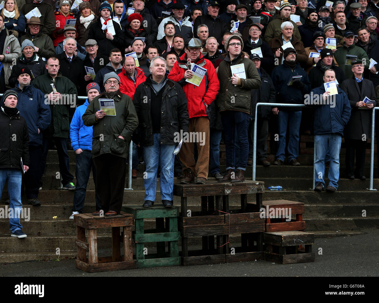 89th National Coursing Meeting Stock Photo