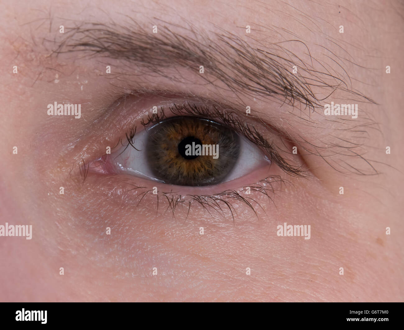 Closeup of a brown human eye Stock Photo
