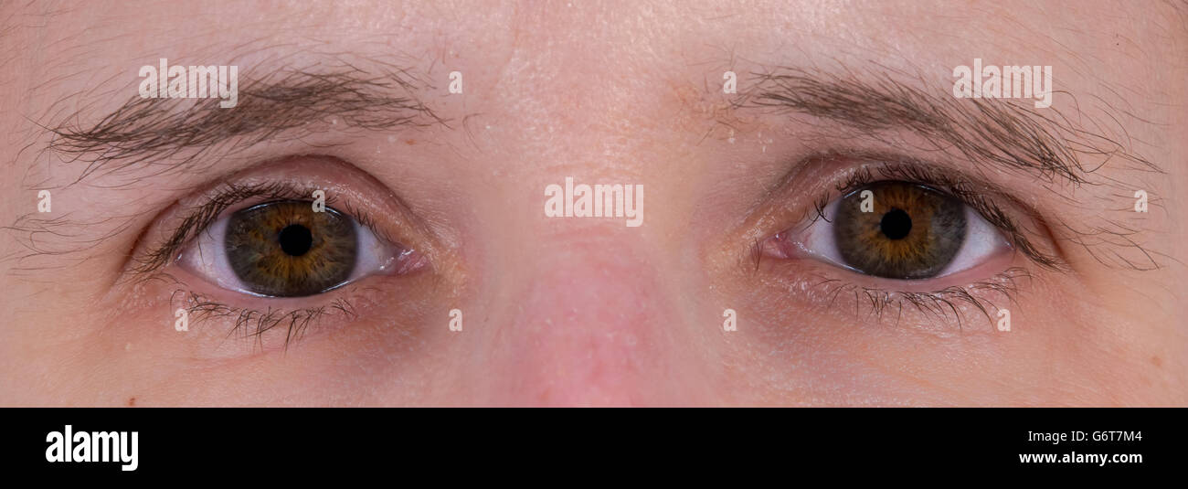 Closeup of a pair of brown human eyes Stock Photo