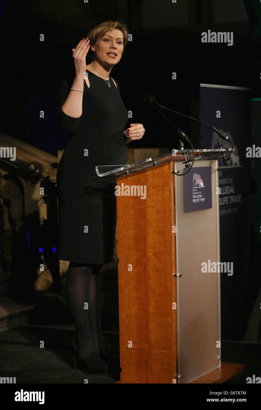 Kate Silverton speaking at an evening reception for the Illegal Wildlife Trade conference at the Natural History Museum, London. Stock Photo