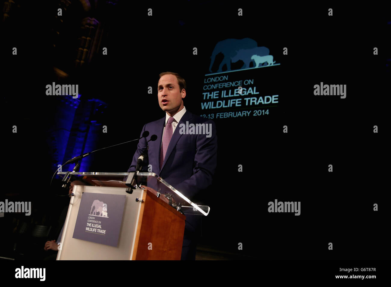 The Duke of Cambridge speaking at an evening reception for the Illegal Wildlife Trade conference at the Natural History Museum, London. Stock Photo