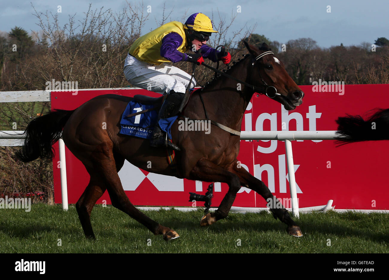 Horse Racing Hennessy Gold Cup Day Leopardstown Racecourse Stock