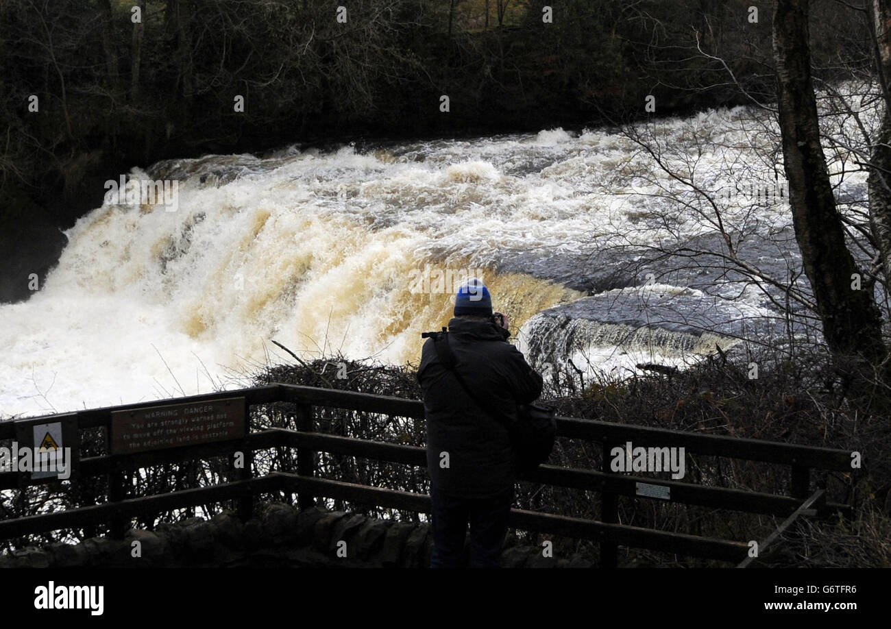 A walker stops to photograph the fast flowing River Ure at Aysgarth Falls in the Yorkshire Dales after the recent rainfall. Stock Photo
