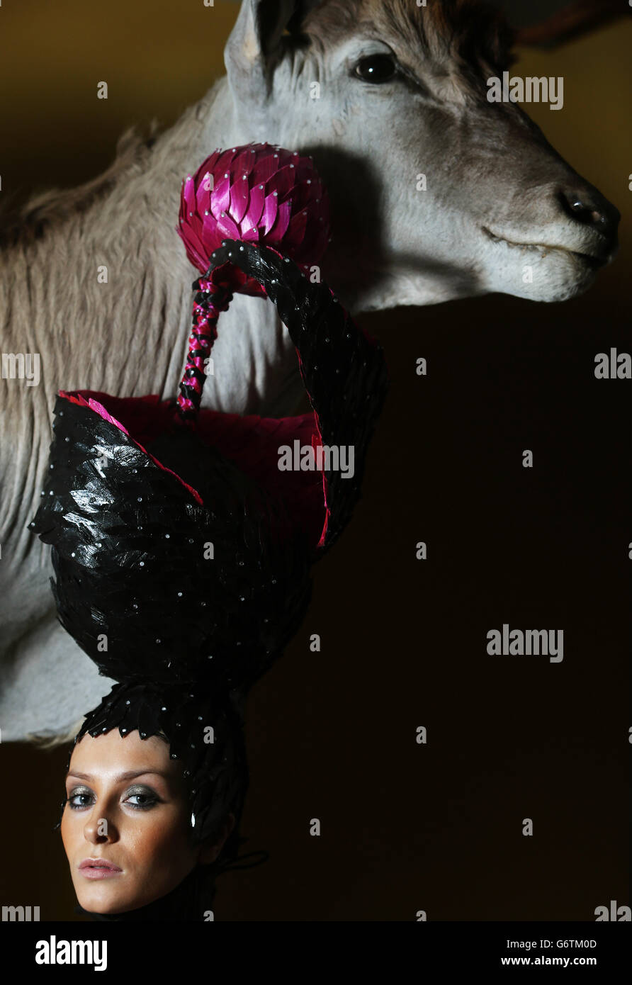 Launch the 2014 Irish Hairdressing Championships Dublin Stock Photo