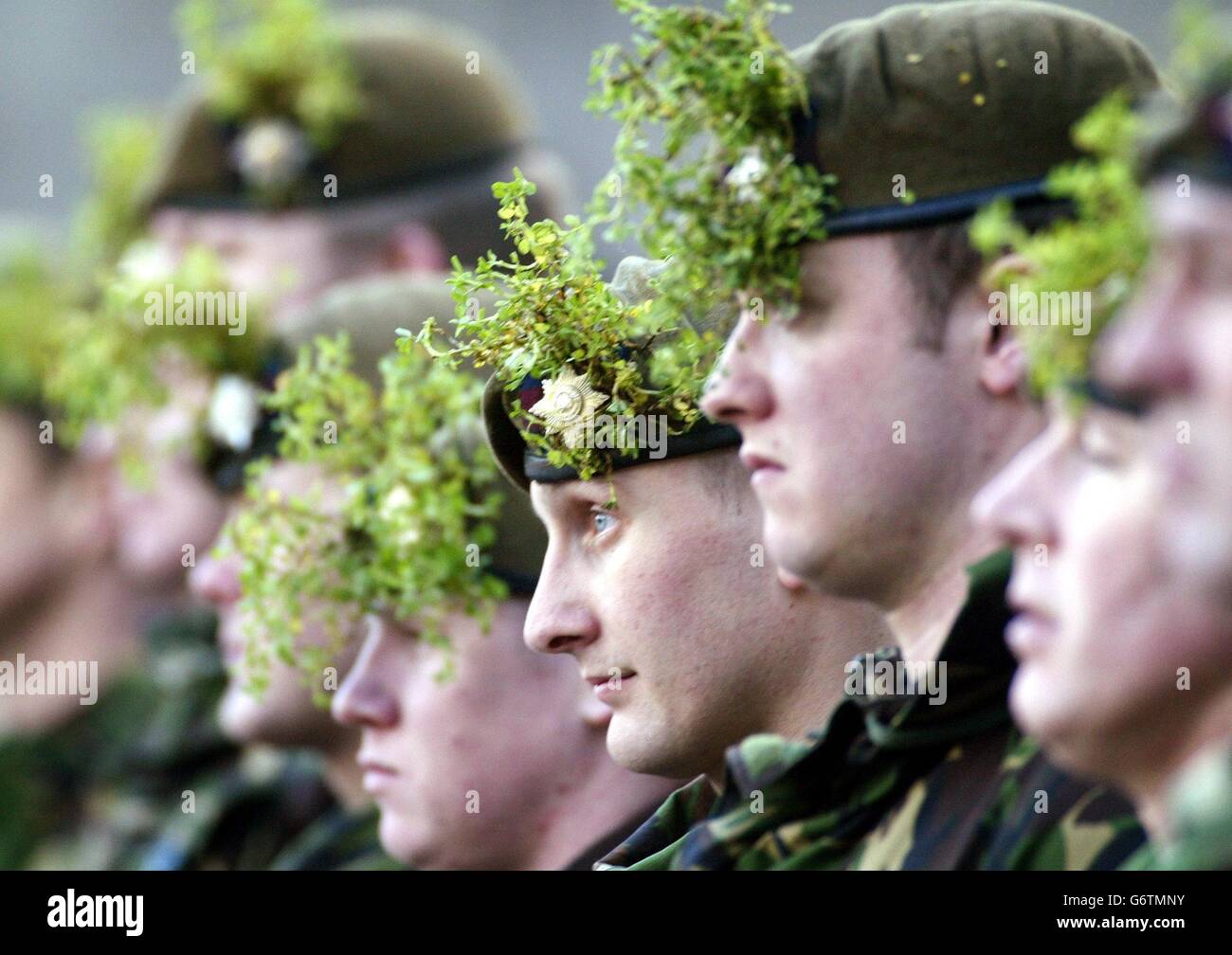 Soldiers of the First Battalion, Irish Guards wearing Shamrock on St Patricks day during a ceremony at Bessbrook in south Armagh, Northern Ireland. The Princess Royal presented shamrock to members of the First Battalion, Irish Guards, who are currently serving on the border. Stock Photo