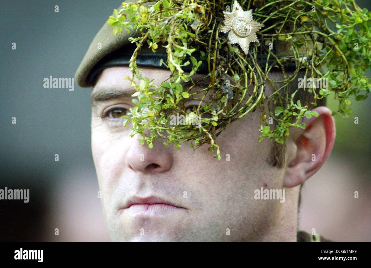 A soldier of the First Battalion, Irish Guards wearing shamrock on St Patricks day, during a ceremony at Bessbrook in south Armagh, Northern Ireland. The Princess Royal presented shamrock to members of the First Battalion, Irish Guards, who are currently serving on the border. Stock Photo