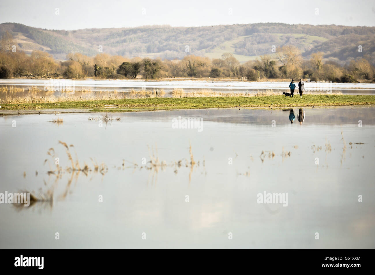 People walk on the flooded Somerset Levels, in south west England as the stormy weather finally gives the country a respite. Stock Photo