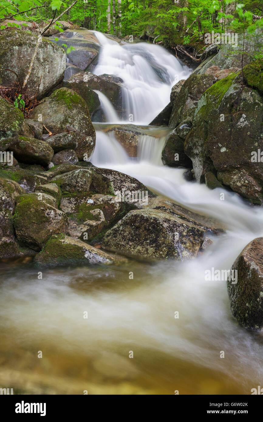 Clough Mine Brook, a tributary of Lost River, in Kinsman Notch of Woodstock, New Hampshire USA during the spring months. Stock Photo