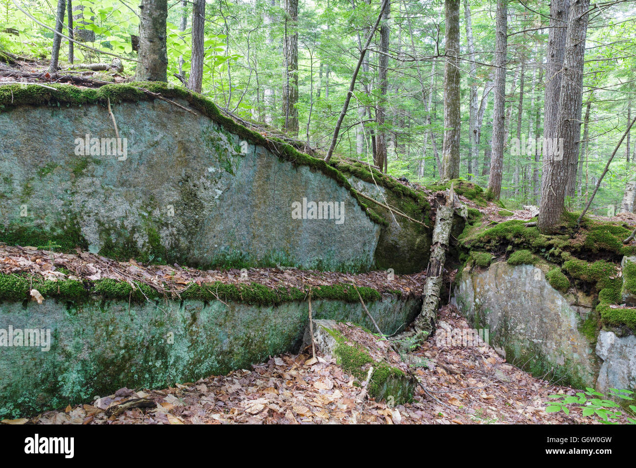 Site of the abandoned Bemis Granite Quarry along the Sawyer River in
