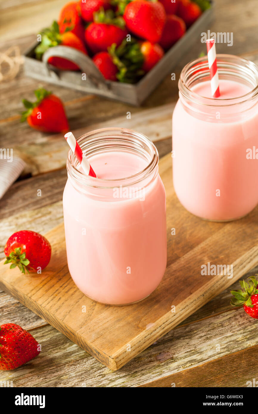 Homemade Organic Strawberry Milk Ready to Drink Stock Photo
