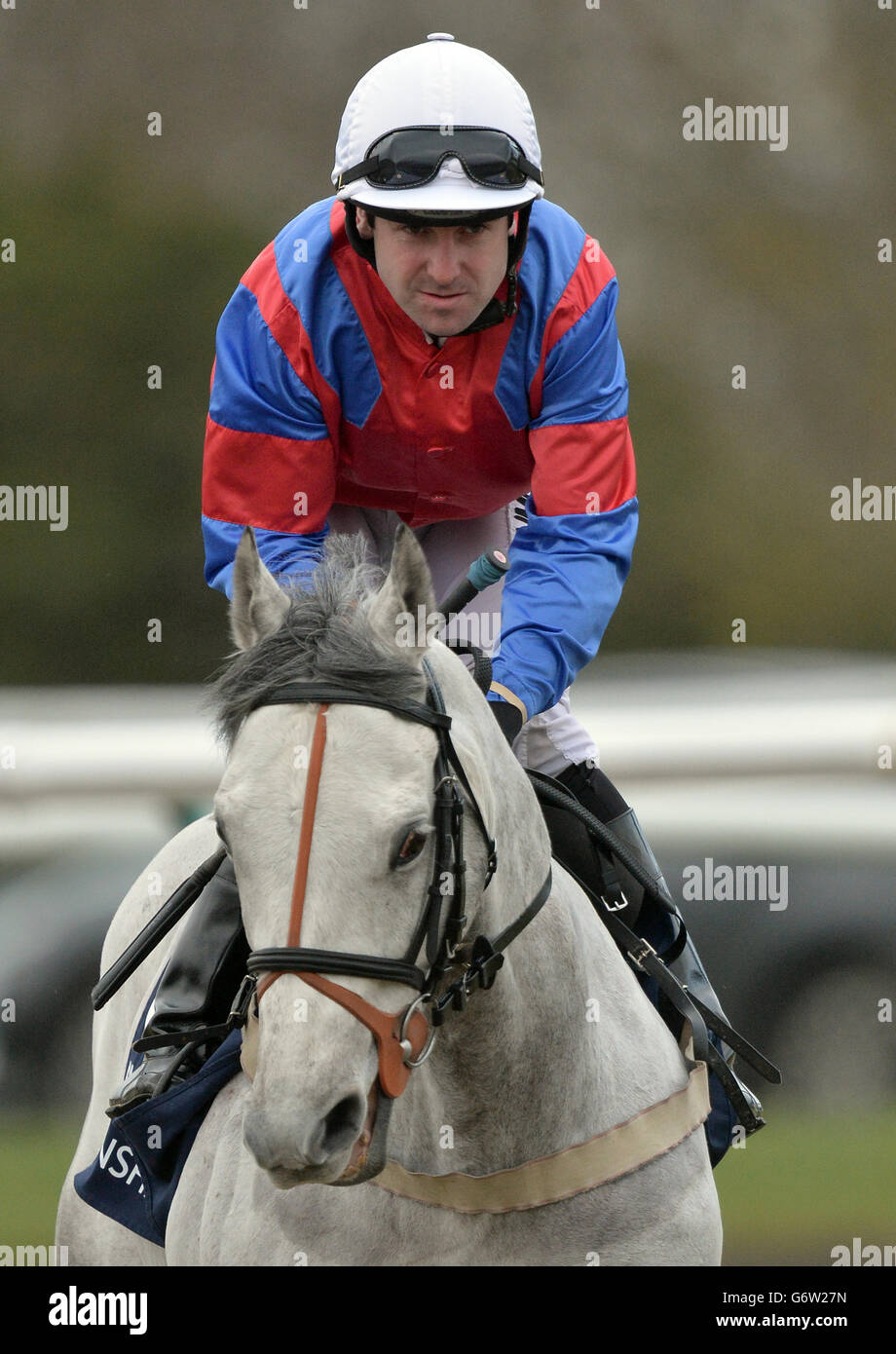 Horse Racing Lingfield Racecourse Stock Photo Alamy