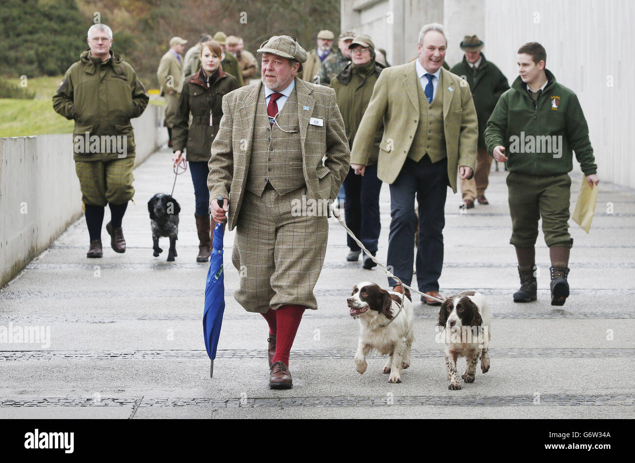 Tail docking petition Stock Photo Alamy