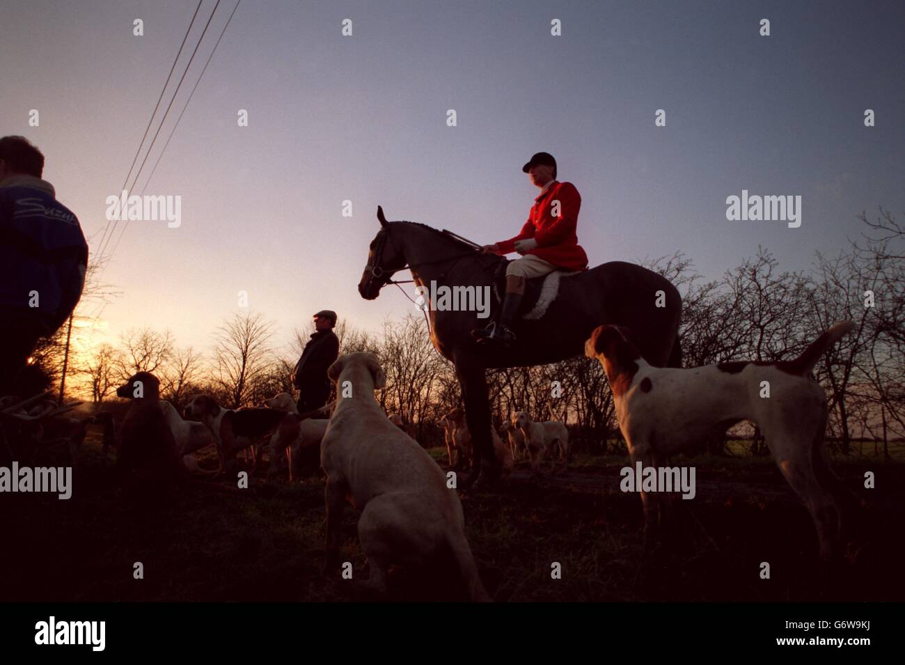 Quorn Huny, Hounds and Rider. The hunt started and Hickling Land, Nottinghamshire Stock Photo