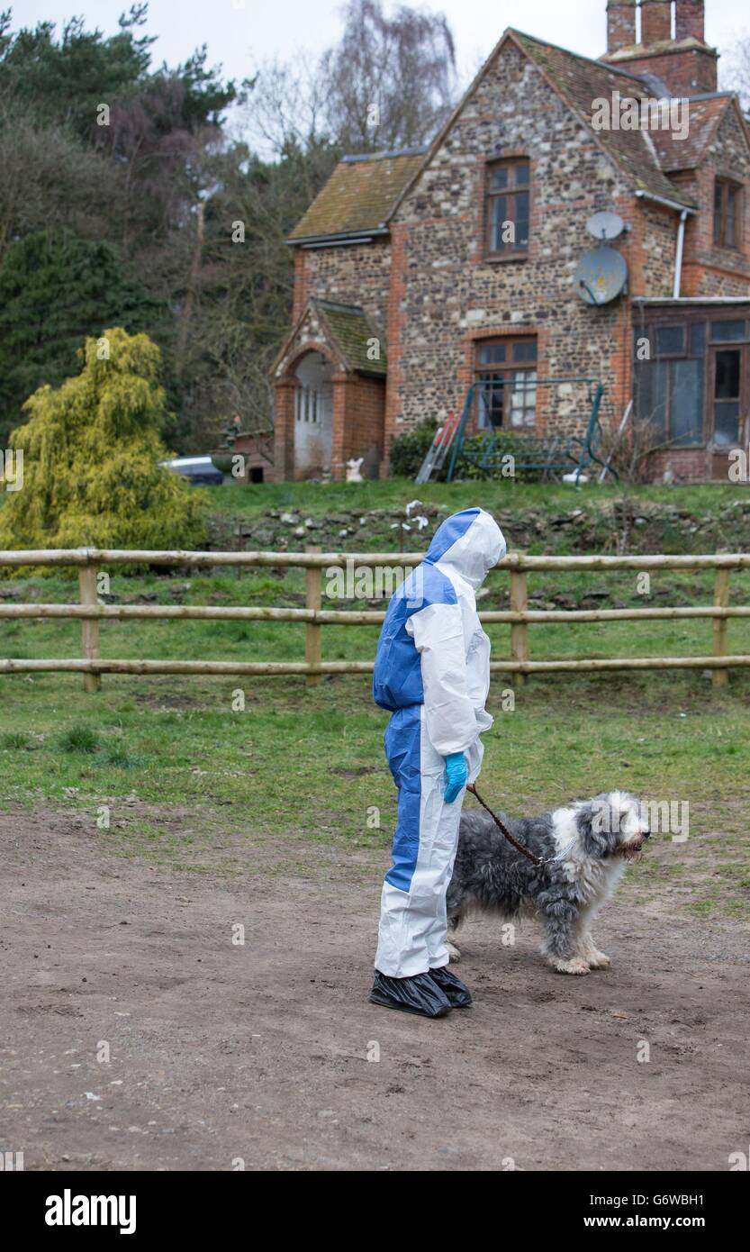 Farnham surrey dog hires stock photography and images Alamy