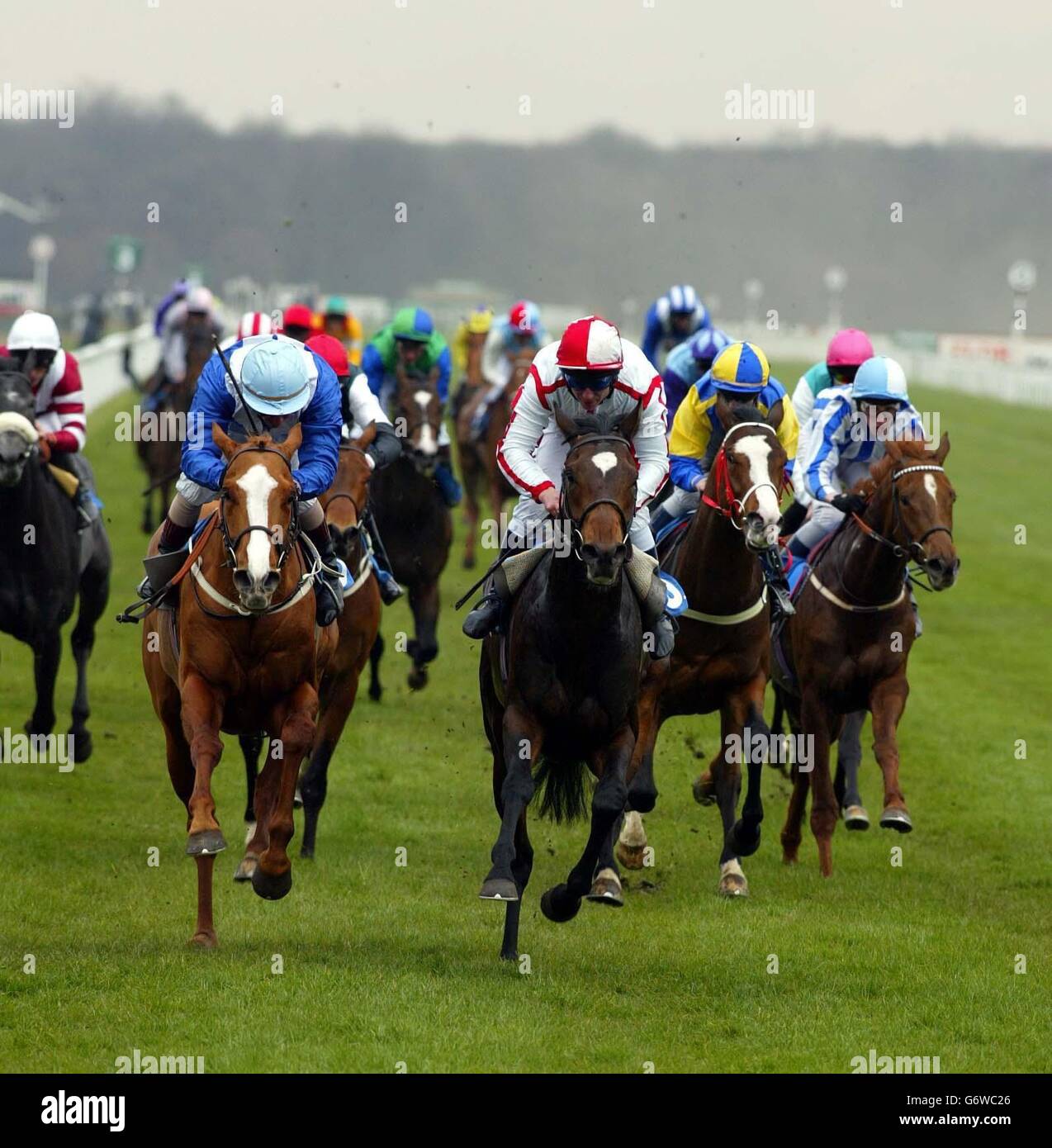 Gatwick (middle right) part owned horse by Sir Alex Ferguson during the ...