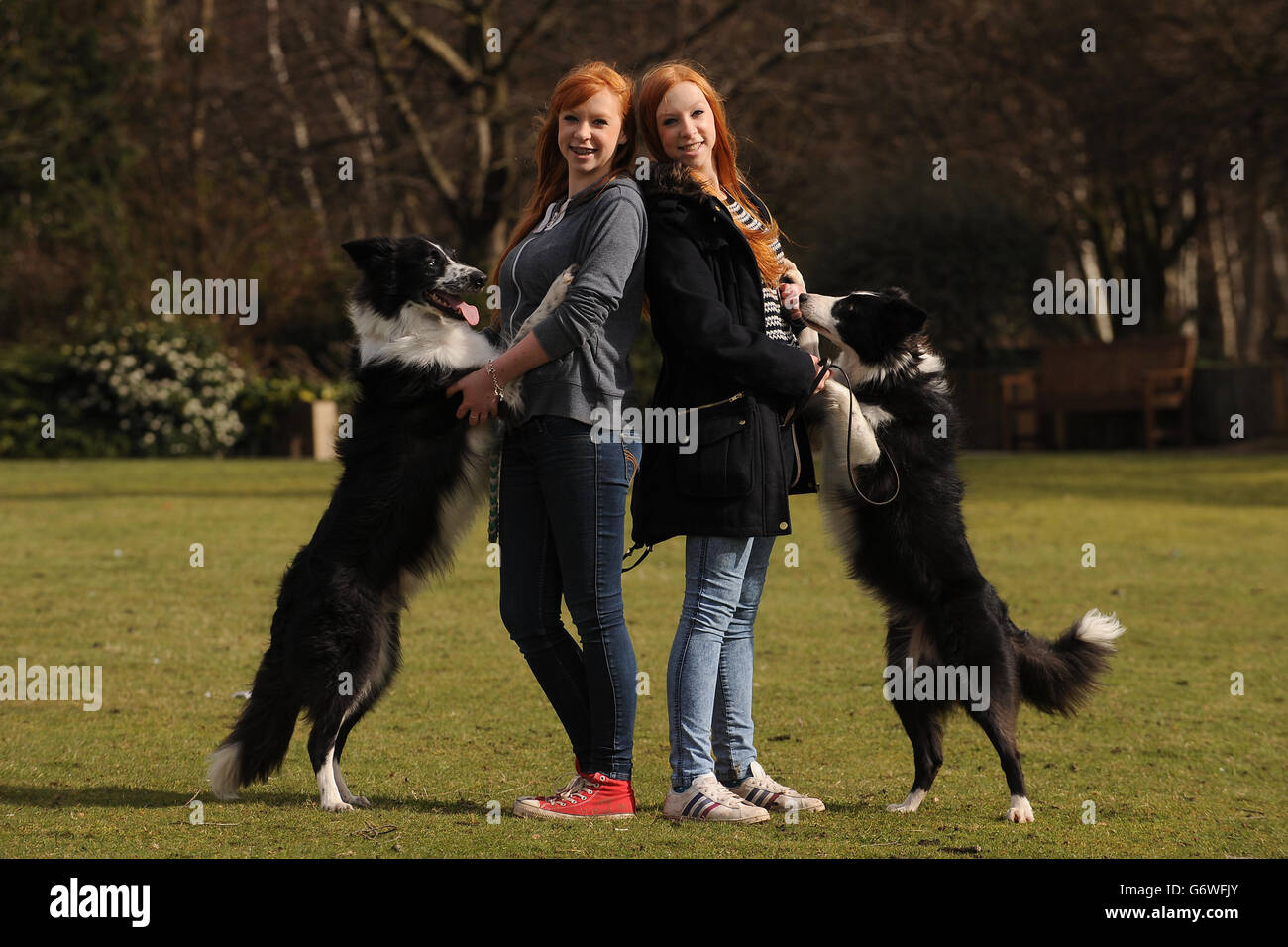 Fifteen year old twins Emily (left) and Katie Wyatt from Hollywood, Birmingham with their brother and sister Bordie Collie dogs Shaun and Chay (right) who will be competing in Young Kennel Club Obedience at Crufts. Stock Photo