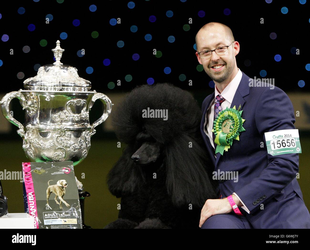 Twoyearold standard poodle Ricky with his handler Jason Lynn, after