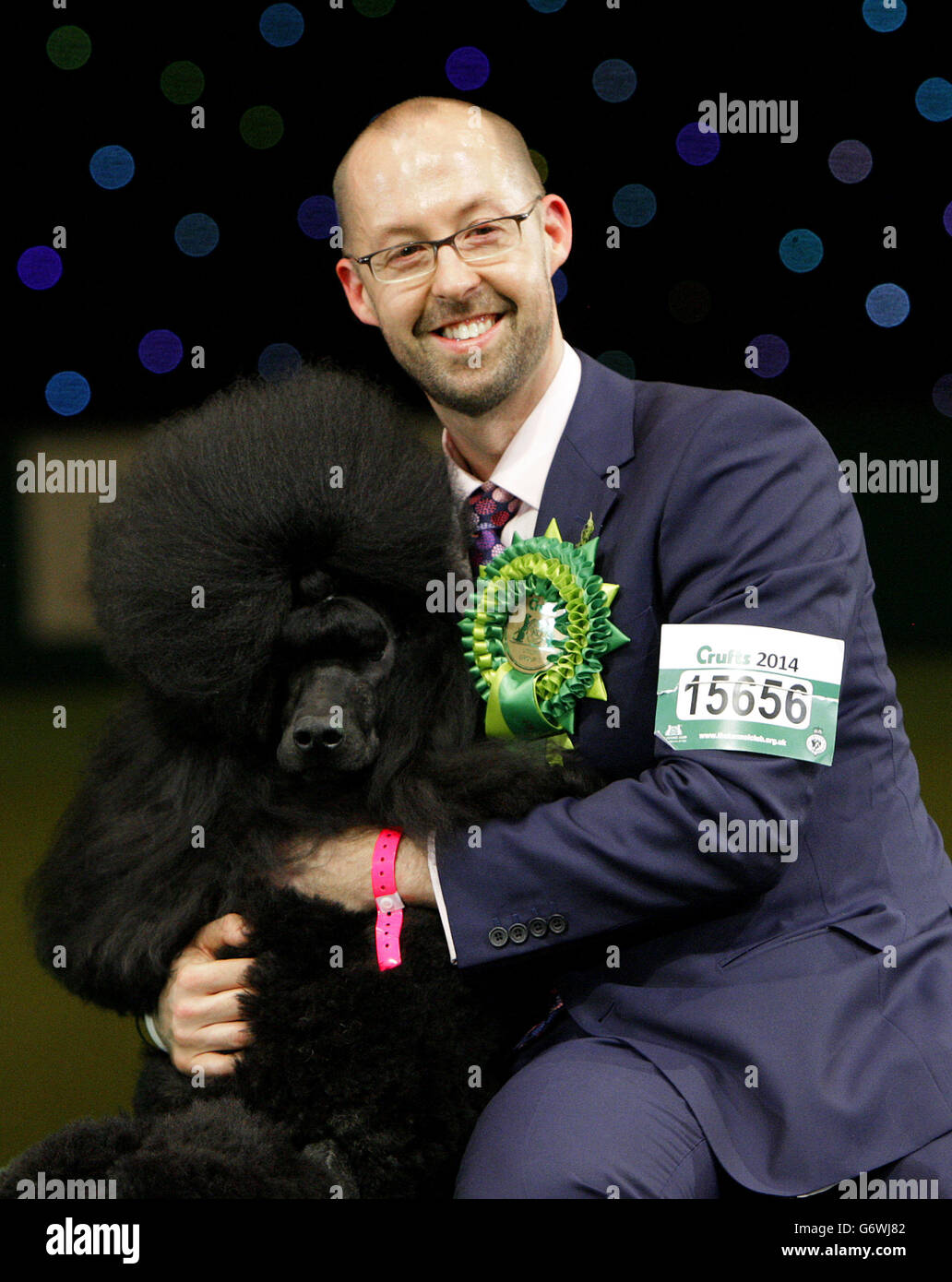 Twoyearold standard poodle Ricky with his handler Jason Lynn, after