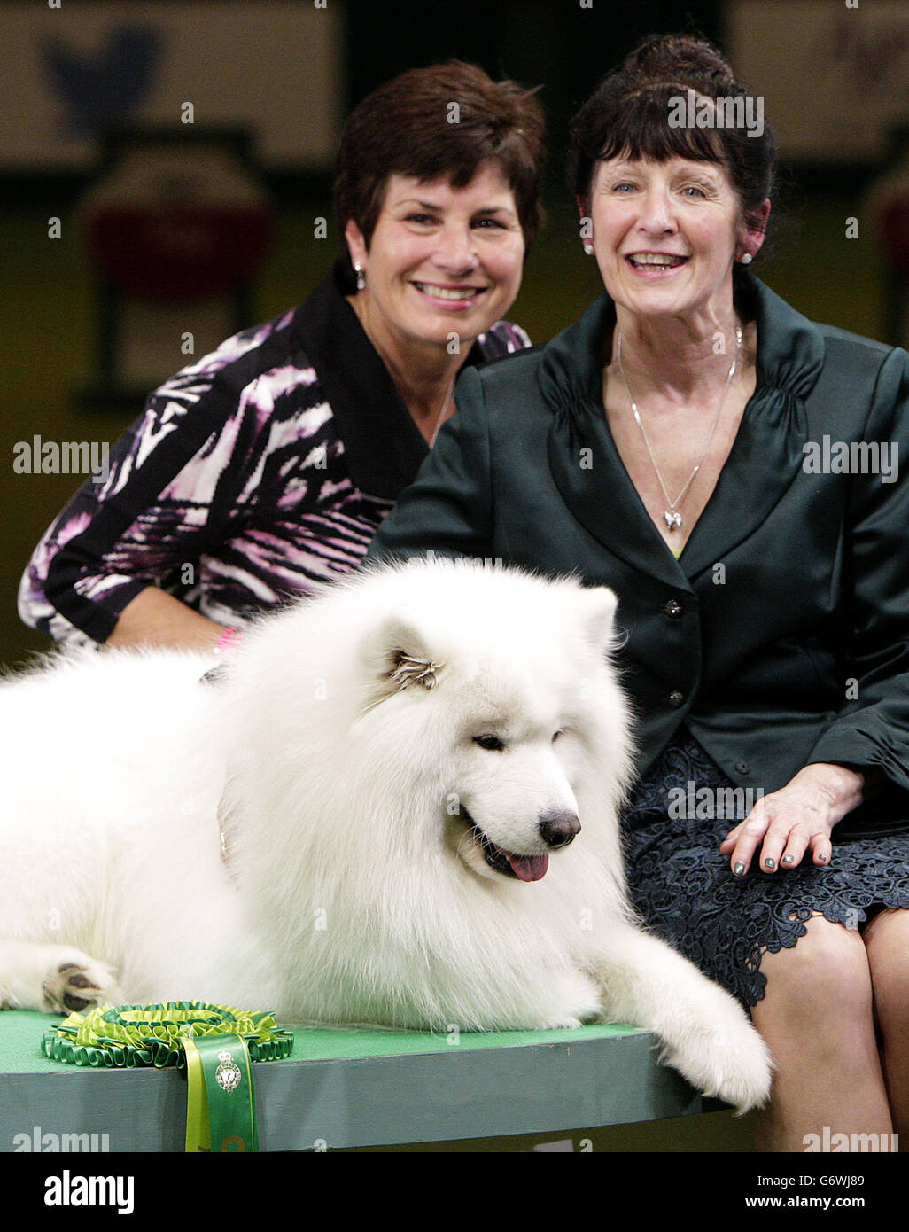 Crufts samoyed sale