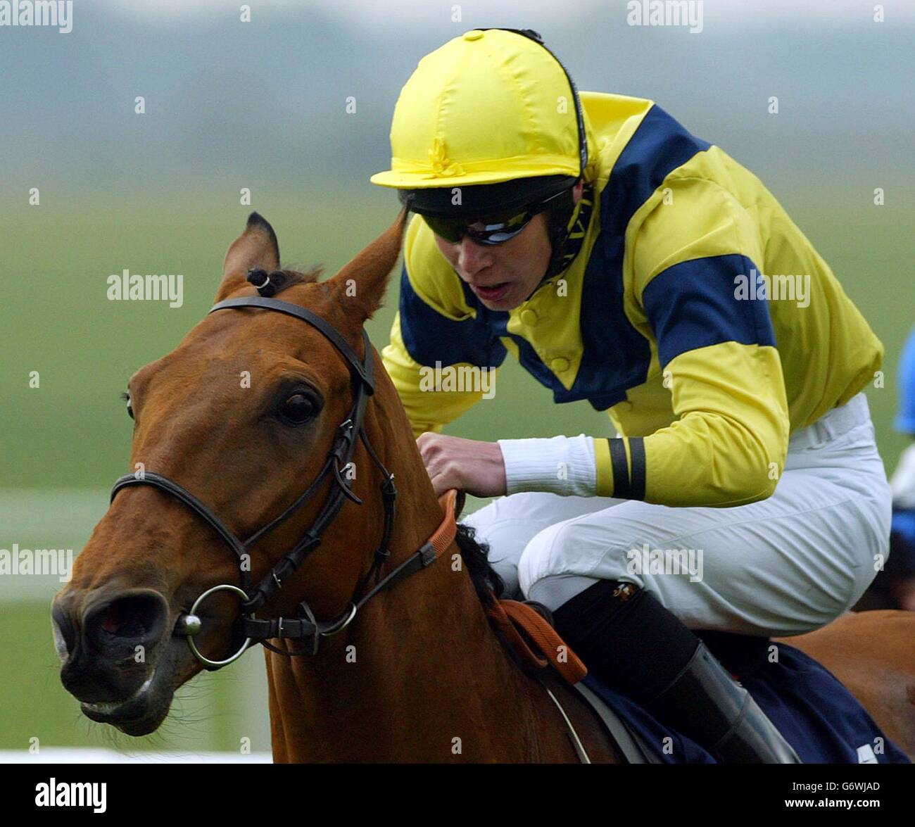 RACING Newmarket. Gateman ridden by Keith Dalgleish goes on to win the Weatherbys Earl of Sefton Stakes over the Rowley Mile Racecourse at Newmarket. Stock Photo