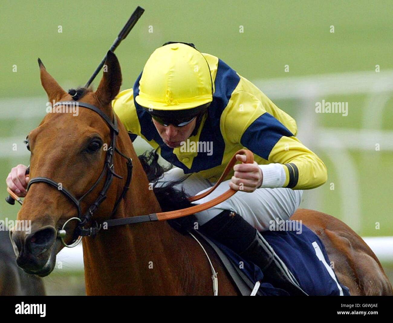 Gateman ridden by Keith Dalgleish goes on to win the Weatherbys Earl of Sefton Stakes over the Rowley Mile Racecourse at Newmarket. Stock Photo