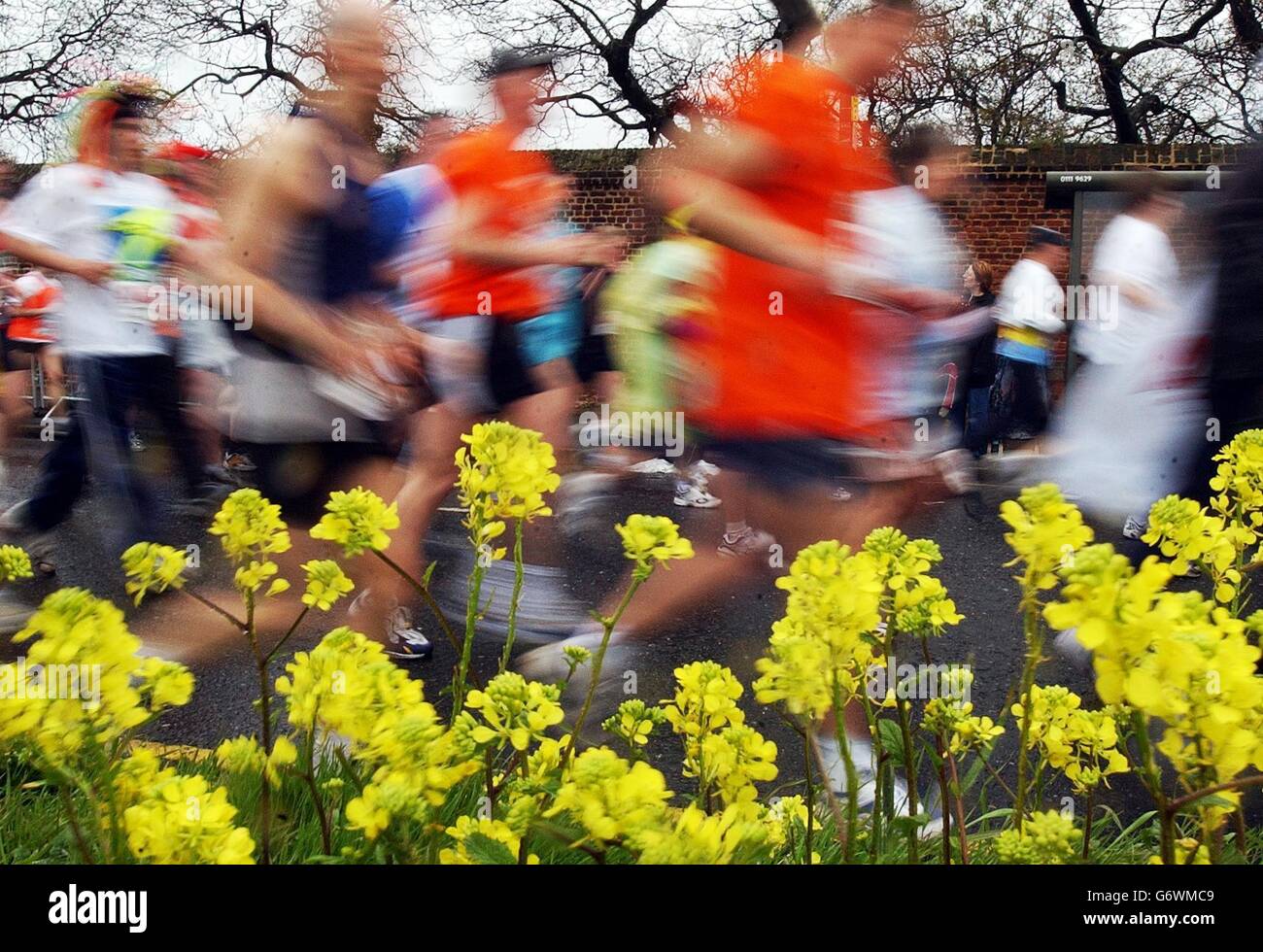 Runners pass flowers in Blackheath at the start of the Flora London