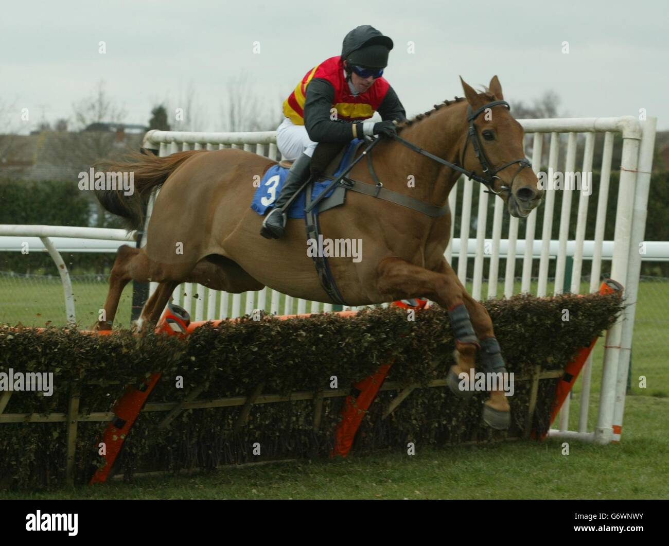 Jockey. April Ace riden by Leighton Aspell at Hereford, Tuesday March 9 ...
