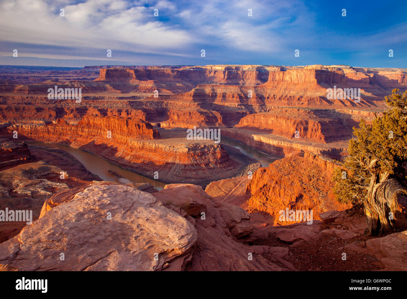 Sunrise over Colorado River at Dead Horse Point State Park near Moab, Utah, USA Stock Photo