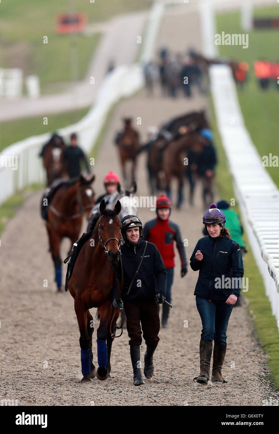 Hurricane fly makes way back gallops champion day cheltenham racecourse hires stock photography