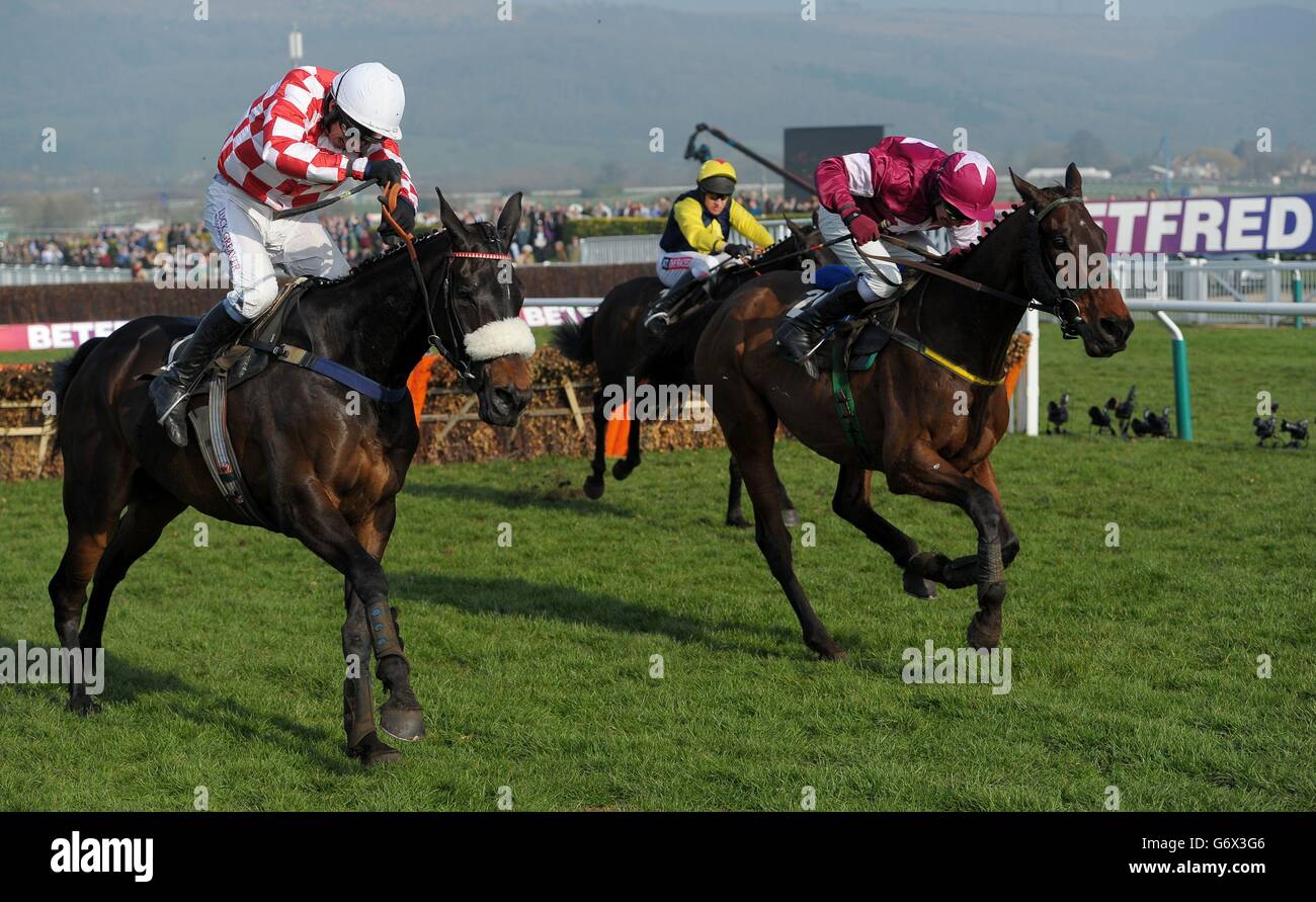Paul carberry jockey cheltenham hi-res stock photography and images - Alamy