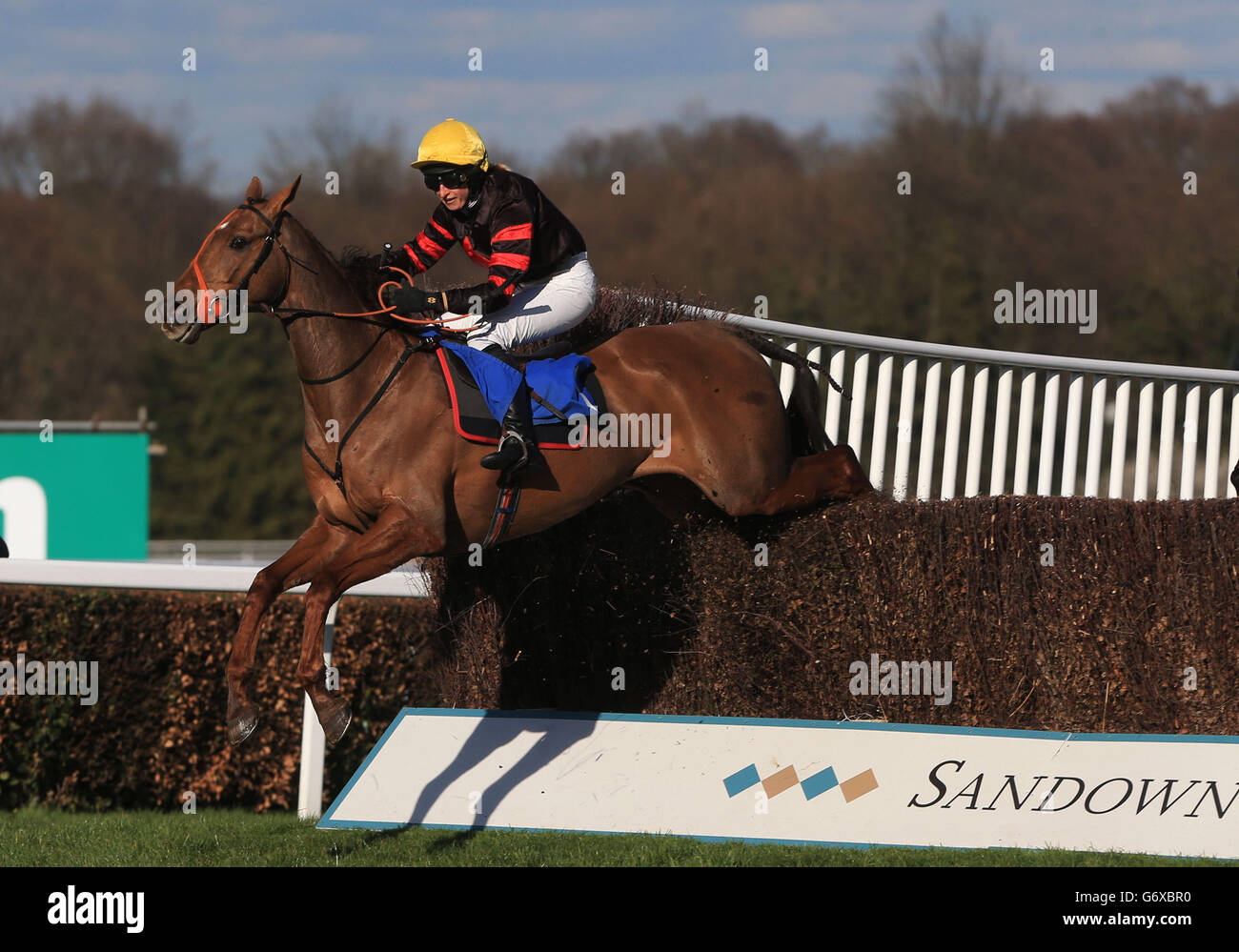 Bradley ridden by LBdr Sally Randall clears the final fence to win The Grand Military Gold Cup, during the Grand Military Gold Cup Day at Sandown Park, Sandown. Stock Photo