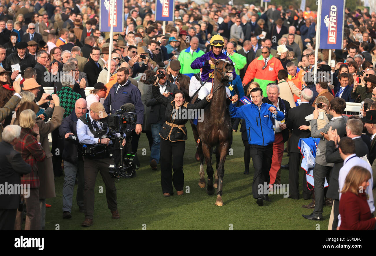 Horse Racing - 2014 Cheltenham Festival - Cheltenham Gold Cup Day - Cheltenham Racecourse. Jockey Davy Russell onboard Lord Windermere celebrates winning The Betfred Cheltenham Gold Cup Steeple Chase Stock Photo