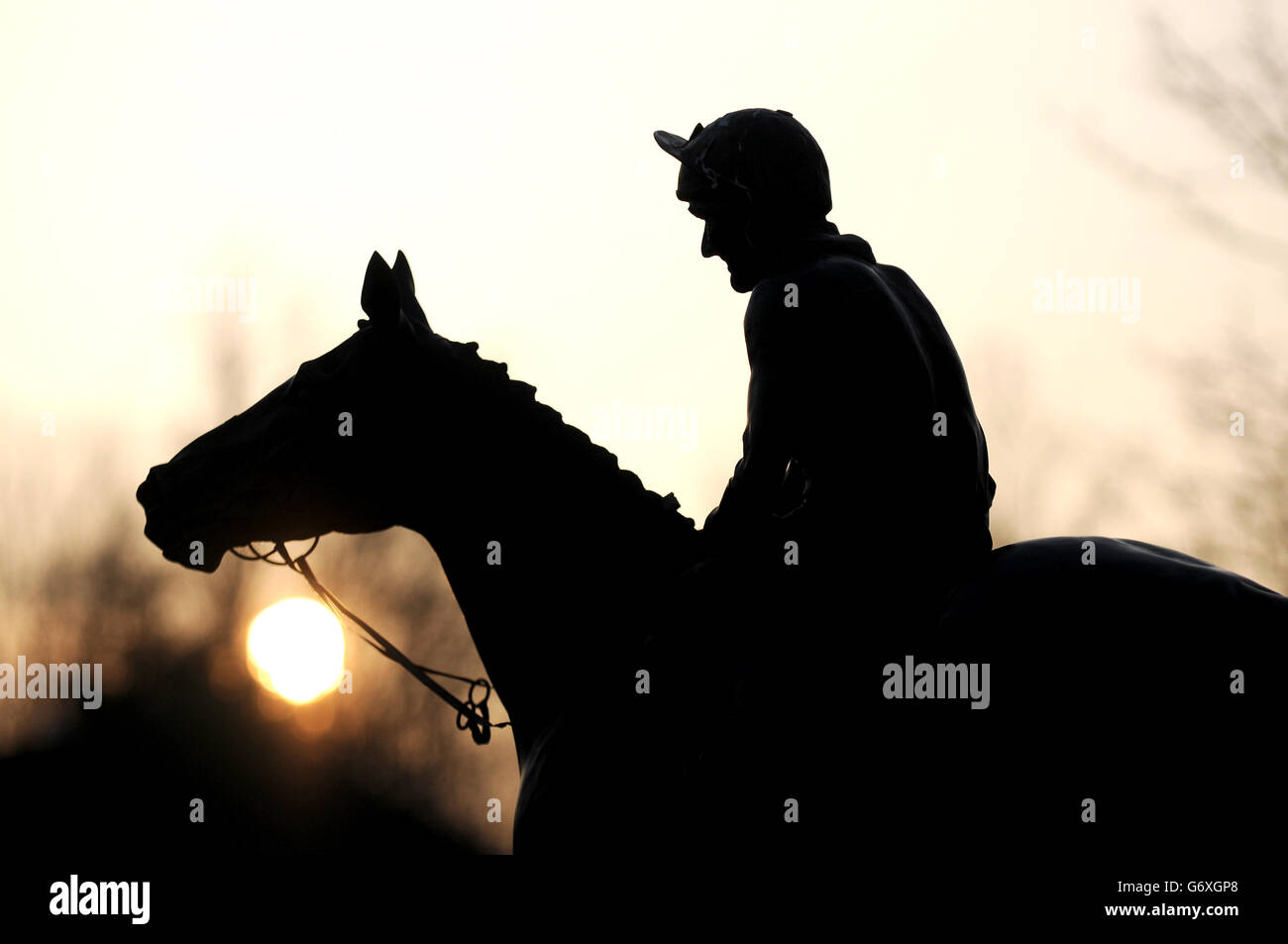 Dawn run statue at cheltenham racecourse hires stock photography and