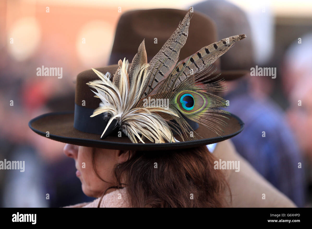 cheltenham festival st patricks day